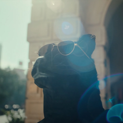 Creative Production House - Artmonks